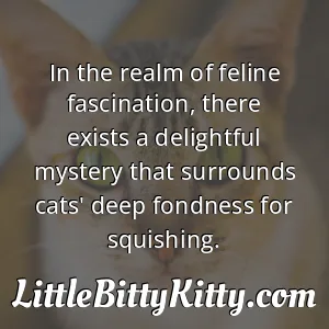 In the realm of feline fascination, there exists a delightful mystery that surrounds cats' deep fondness for squishing.