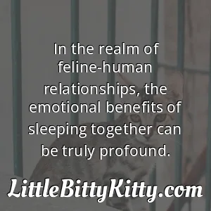 In the realm of feline-human relationships, the emotional benefits of sleeping together can be truly profound.