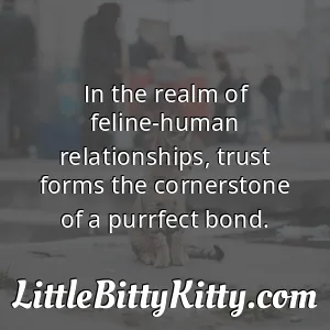 In the realm of feline-human relationships, trust forms the cornerstone of a purrfect bond.