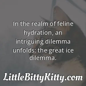 In the realm of feline hydration, an intriguing dilemma unfolds: the great ice dilemma.