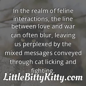 In the realm of feline interactions, the line between love and war can often blur, leaving us perplexed by the mixed messages conveyed through cat licking and fighting.