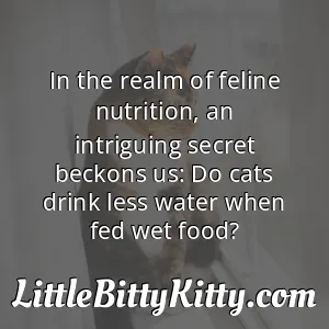 In the realm of feline nutrition, an intriguing secret beckons us: Do cats drink less water when fed wet food?
