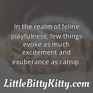 In the realm of feline playfulness, few things evoke as much excitement and exuberance as catnip.