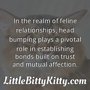 In the realm of feline relationships, head bumping plays a pivotal role in establishing bonds built on trust and mutual affection.