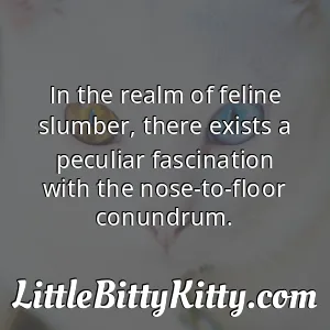 In the realm of feline slumber, there exists a peculiar fascination with the nose-to-floor conundrum.