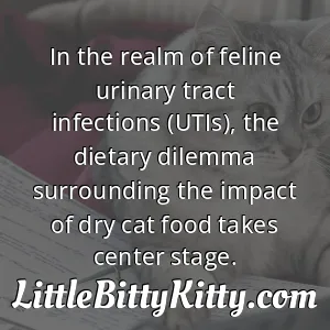 In the realm of feline urinary tract infections (UTIs), the dietary dilemma surrounding the impact of dry cat food takes center stage.