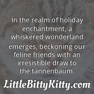 In the realm of holiday enchantment, a whiskered wonderland emerges, beckoning our feline friends with an irresistible draw to the tannenbaum.