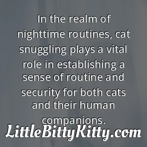 In the realm of nighttime routines, cat snuggling plays a vital role in establishing a sense of routine and security for both cats and their human companions.