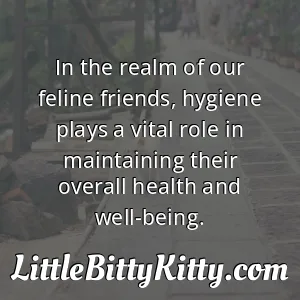 In the realm of our feline friends, hygiene plays a vital role in maintaining their overall health and well-being.
