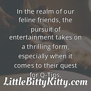 In the realm of our feline friends, the pursuit of entertainment takes on a thrilling form, especially when it comes to their quest for Q-Tips.