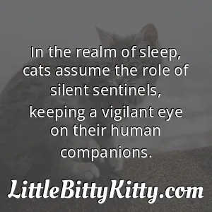 In the realm of sleep, cats assume the role of silent sentinels, keeping a vigilant eye on their human companions.