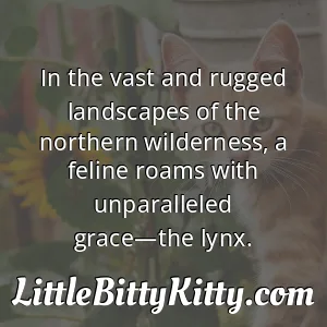 In the vast and rugged landscapes of the northern wilderness, a feline roams with unparalleled grace—the lynx.