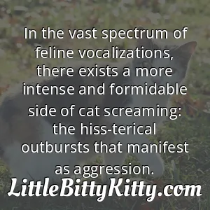 In the vast spectrum of feline vocalizations, there exists a more intense and formidable side of cat screaming: the hiss-terical outbursts that manifest as aggression.