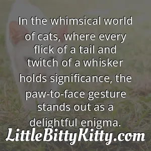 In the whimsical world of cats, where every flick of a tail and twitch of a whisker holds significance, the paw-to-face gesture stands out as a delightful enigma.