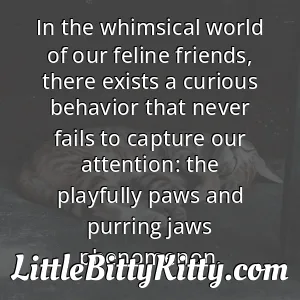 In the whimsical world of our feline friends, there exists a curious behavior that never fails to capture our attention: the playfully paws and purring jaws phenomenon.