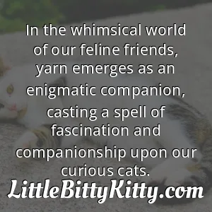 In the whimsical world of our feline friends, yarn emerges as an enigmatic companion, casting a spell of fascination and companionship upon our curious cats.