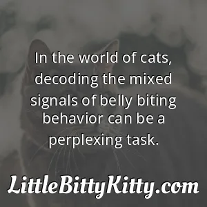 In the world of cats, decoding the mixed signals of belly biting behavior can be a perplexing task.