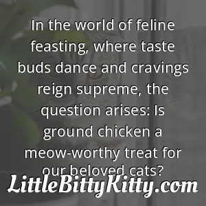 In the world of feline feasting, where taste buds dance and cravings reign supreme, the question arises: Is ground chicken a meow-worthy treat for our beloved cats?