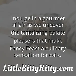Indulge in a gourmet affair as we uncover the tantalizing palate pleasers that make Fancy Feast a culinary sensation for cats.