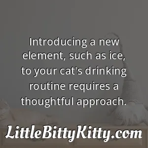 Introducing a new element, such as ice, to your cat's drinking routine requires a thoughtful approach.