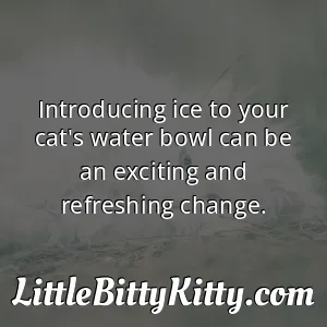 Introducing ice to your cat's water bowl can be an exciting and refreshing change.