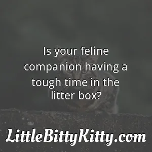 Is your feline companion having a tough time in the litter box?