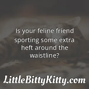 Is your feline friend sporting some extra heft around the waistline?