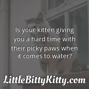Is your kitten giving you a hard time with their picky paws when it comes to water?