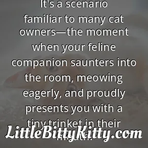 It's a scenario familiar to many cat owners—the moment when your feline companion saunters into the room, meowing eagerly, and proudly presents you with a tiny trinket in their mouth.