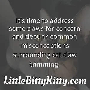 It's time to address some claws for concern and debunk common misconceptions surrounding cat claw trimming.