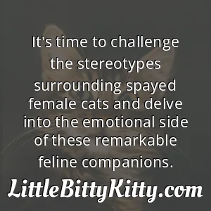 It's time to challenge the stereotypes surrounding spayed female cats and delve into the emotional side of these remarkable feline companions.