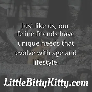 Just like us, our feline friends have unique needs that evolve with age and lifestyle.