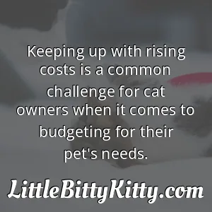 Keeping up with rising costs is a common challenge for cat owners when it comes to budgeting for their pet's needs.