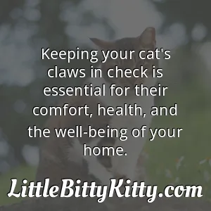 Keeping your cat's claws in check is essential for their comfort, health, and the well-being of your home.