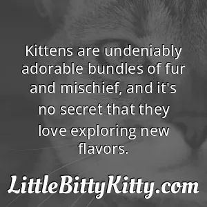 Kittens are undeniably adorable bundles of fur and mischief, and it's no secret that they love exploring new flavors.