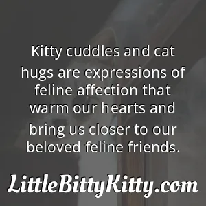Kitty cuddles and cat hugs are expressions of feline affection that warm our hearts and bring us closer to our beloved feline friends.