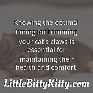 Knowing the optimal timing for trimming your cat's claws is essential for maintaining their health and comfort.