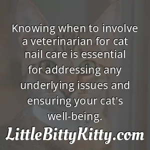 Knowing when to involve a veterinarian for cat nail care is essential for addressing any underlying issues and ensuring your cat's well-being.