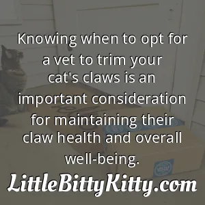 Knowing when to opt for a vet to trim your cat's claws is an important consideration for maintaining their claw health and overall well-being.