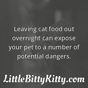 Leaving cat food out overnight can expose your pet to a number of potential dangers.