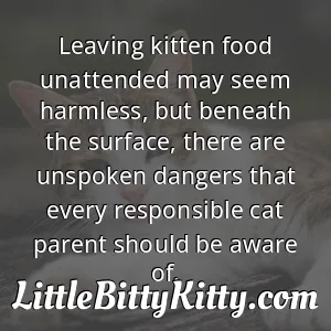 Leaving kitten food unattended may seem harmless, but beneath the surface, there are unspoken dangers that every responsible cat parent should be aware of.