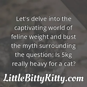 Let's delve into the captivating world of feline weight and bust the myth surrounding the question: Is 5kg really heavy for a cat?