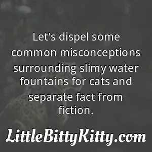 Let's dispel some common misconceptions surrounding slimy water fountains for cats and separate fact from fiction.