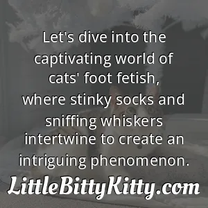 Let's dive into the captivating world of cats' foot fetish, where stinky socks and sniffing whiskers intertwine to create an intriguing phenomenon.