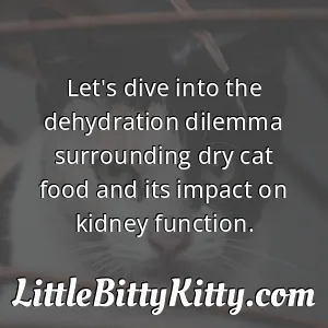 Let's dive into the dehydration dilemma surrounding dry cat food and its impact on kidney function.