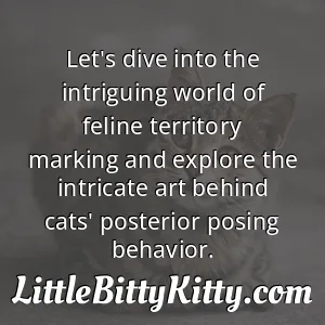 Let's dive into the intriguing world of feline territory marking and explore the intricate art behind cats' posterior posing behavior.