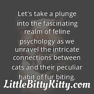 Let's take a plunge into the fascinating realm of feline psychology as we unravel the intricate connections between cats and their peculiar habit of fur biting.