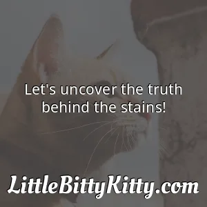Let's uncover the truth behind the stains!