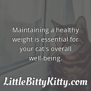 Maintaining a healthy weight is essential for your cat's overall well-being.
