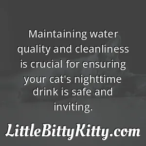 Maintaining water quality and cleanliness is crucial for ensuring your cat's nighttime drink is safe and inviting.